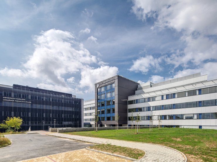 University Medical Center of the Faculty of Medicine, Charles University in Pilsen